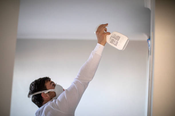 Best Toxic Mold Removal  in Manawa, WI