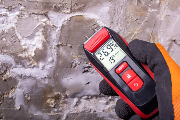 Best Residential Mold Removal  in Manawa, WI
