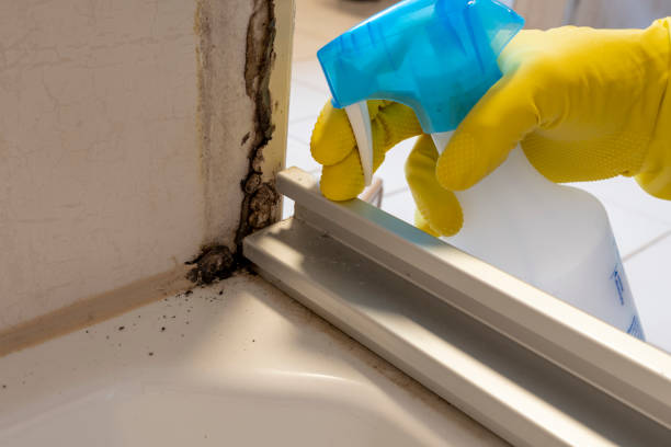 Best Mold Cleaning Services  in Manawa, WI