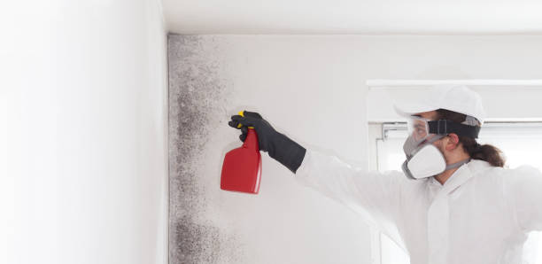 Best Mold Removal and Inspection  in Manawa, WI