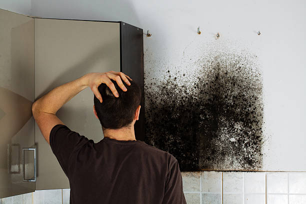 Best Toxic Mold Removal  in Manawa, WI